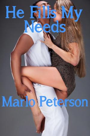 Cover of the book He Fills My Needs by Marlo Peterson