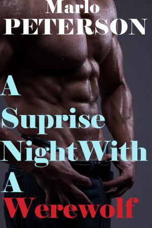 Cover of the book A Surprise Night with a Werewolf by Cassidy Coal