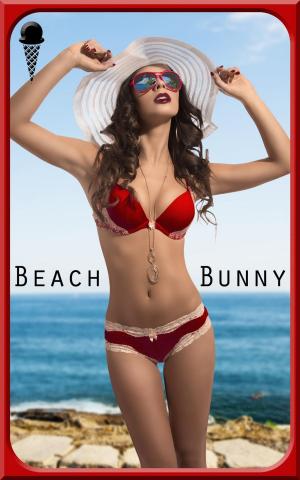 Book cover of Beach Bunny