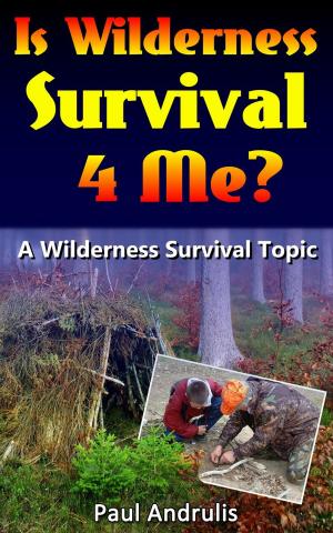 Book cover of Is Wilderness Survival 4 Me?