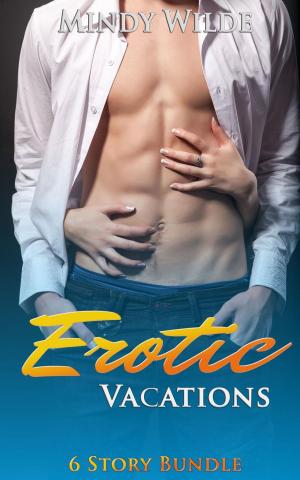 Book cover of Erotic Vacations Double Omnibus