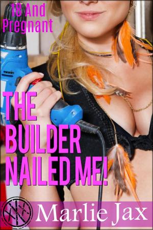 Cover of the book The Builder Nailed Me by Claire Elise