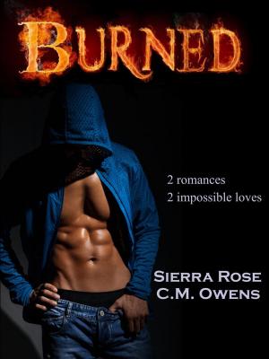 Cover of the book Burned by C.M. Owens, Dale Mayer, Chrissy Peebles, W.J. May