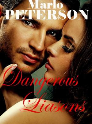 Cover of the book Dangerous Liasons by Lady B. Scathach