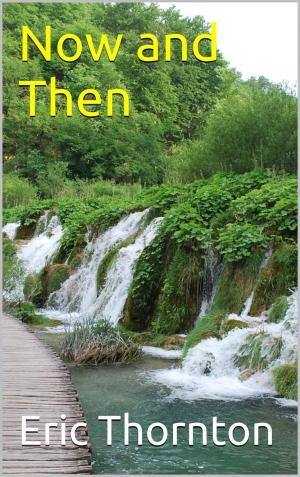 Cover of the book Now and Then by Rilbur Skryler