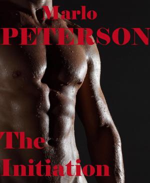 Cover of the book The Initiation by Marlo Peterson