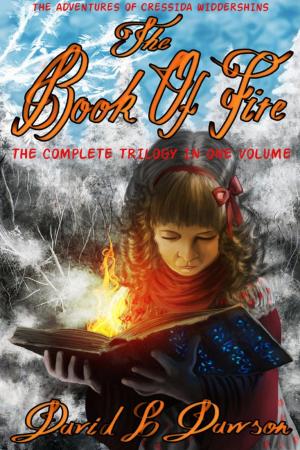 Cover of the book The Book of Fire Trilogy Boxset by Theresa Marguerite Hewitt