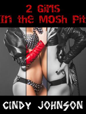 Cover of the book 2 Girls in the Mosh Pit by Pheobe Cain