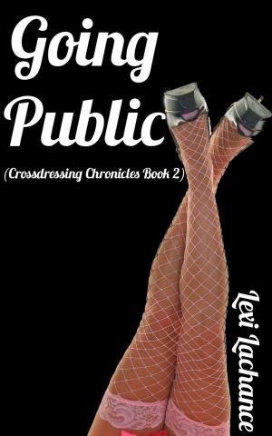 Cover of the book Going Public by Princess of Blueberries