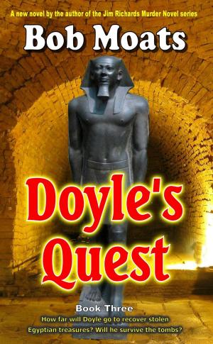 Cover of the book Doyle's Quest by Claire Stibbe