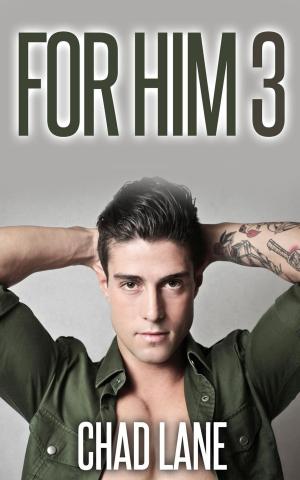 Cover of the book For Him 3 (Military Gay For You Romance) by Leslie North