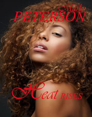 Cover of the book Heat Rises by Judith McWilliams