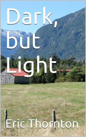 Cover of the book Dark but Light by Eric Roberts