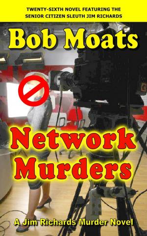 Cover of the book Network Murders by Janet Blaylock