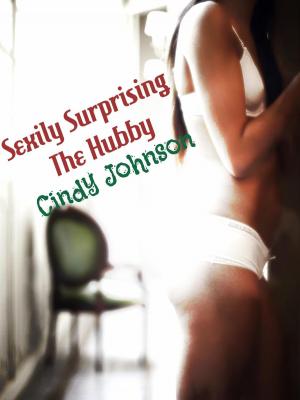 Book cover of Sexily Surprising the Hubby