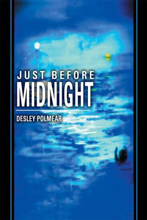 Cover of the book Just Before Midnight by MSA Blackwell