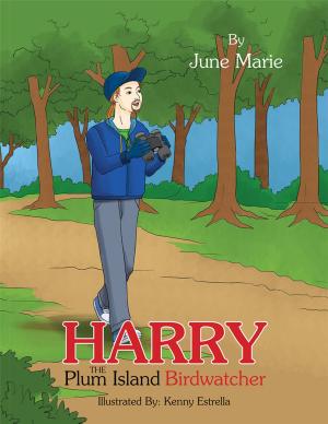 Cover of the book Harry the Plum Island Birdwatcher by Alida van den Bos