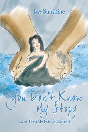 Cover of the book You Don’T Know My Story by Serena M. Johnson