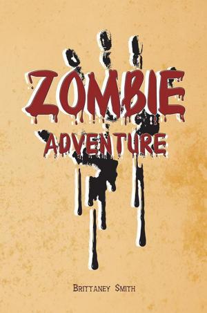 Cover of the book Zombie Adventure by Anita Everett