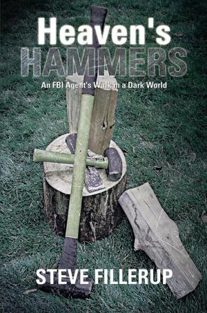Cover of the book Heaven's Hammers by J.C. Schmidt
