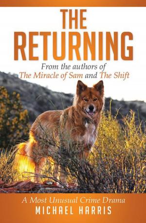 Cover of the book The Returning by Susan deGozzaldi