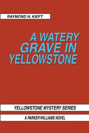 Cover of the book A Watery Grave in Yellowstone by J.R. Colson