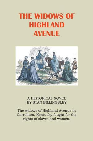 Cover of the book The Widows of Highland Avenue by John G. Denham
