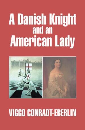 Cover of the book A Danish Knight and an American Lady by Rosalie Turner