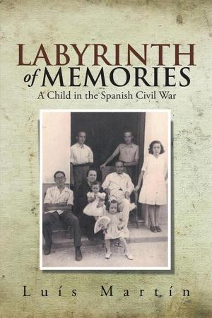 Cover of the book Labyrinth of Memories by Elizabeth Martin