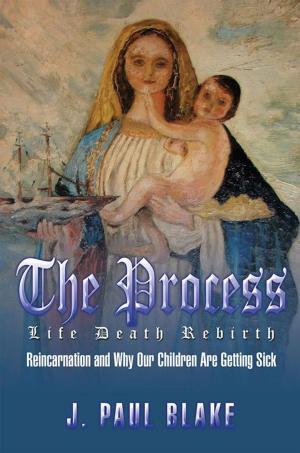 Cover of the book The Process by Allen Heckman