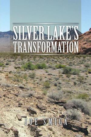 Cover of the book Silver Lake’S Transformation by Norbert Friedman