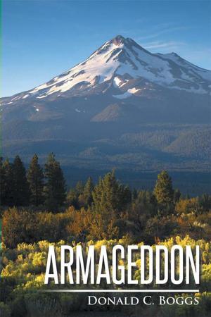 Cover of the book Armageddon by Laura Troester
