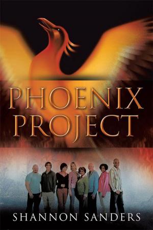 Cover of the book Phoenix Project by John Connolly
