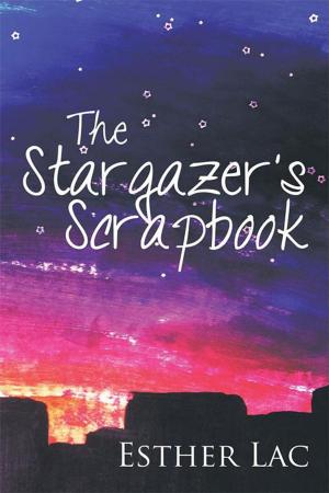 Cover of the book The Stargazer’S Scrapbook by Franziska Dübgen