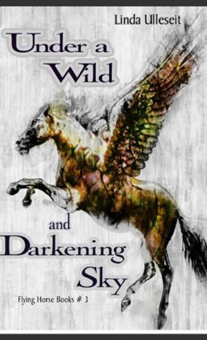 Cover of the book Under a Wild and Darkening Sky by Geoffrey Thorne
