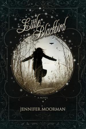 Cover of the book Little Blackbird by Dörte Müller, Finisia Moschiano