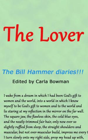 Cover of the book The Lover by Sol Crafter