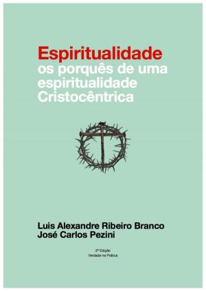 Cover of the book Espiritualidade: os porquês de uma espiritualidade cristocêntrica by Michael Van Vlymen