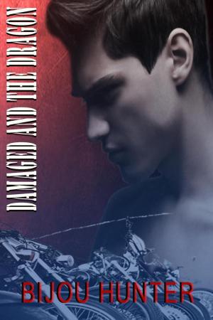 Book cover of Damaged and the Dragon
