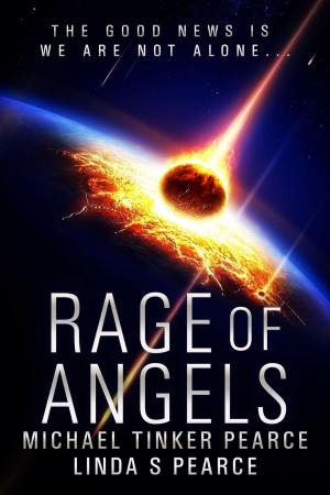 Cover of the book Rage of Angels by Nina Munteanu