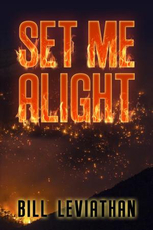Cover of the book Set Me Alight by R.J. Adams