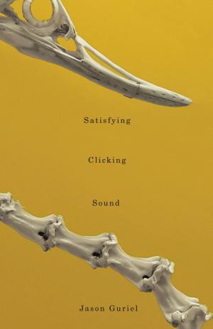 Cover of the book Satisfying Clicking Sound by 