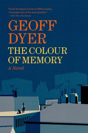 Cover of the book The Colour of Memory by Katie Ford