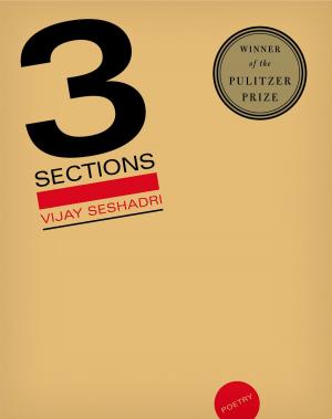 Cover of the book 3 Sections by Sven Birkerts