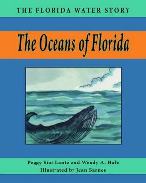 Cover of the book The Oceans of Florida by Frank Laumer