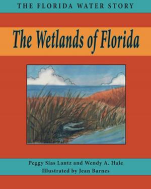 Cover of the book The Wetlands of Florida by Betty M Jumper