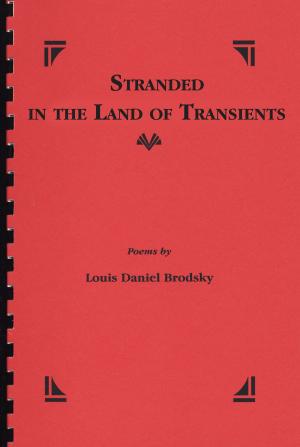 Cover of the book Stranded in the Land of Transients by Gavin Whyte