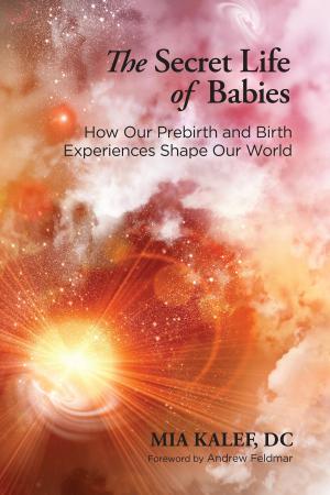 Book cover of The Secret Life of Babies