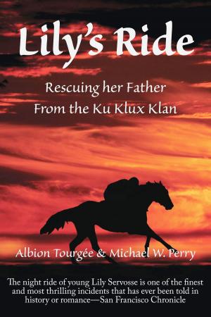 Book cover of Lily's Ride: Saving her Father from the Ku Klux Klan