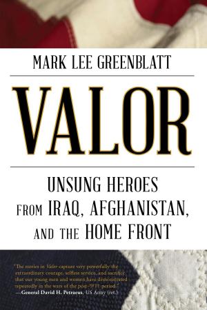 Cover of the book Valor by David Claerbaut